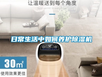行業(yè)新聞日常生活中如何養(yǎng)護除濕機