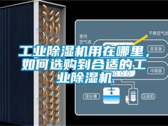 常見問題工業(yè)除濕機用在哪里，如何選購到合適的工業(yè)除濕機