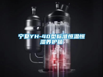 知識(shí)百科寧夏YH-40型標(biāo)準(zhǔn)恒溫恒濕養(yǎng)護(hù)箱