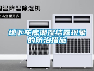 企業(yè)新聞地下車(chē)庫(kù)潮濕結(jié)露現(xiàn)象的防治措施