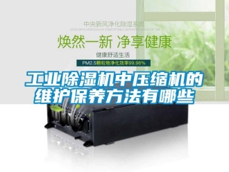 企業(yè)新聞工業(yè)除濕機中壓縮機的維護保養(yǎng)方法有哪些
