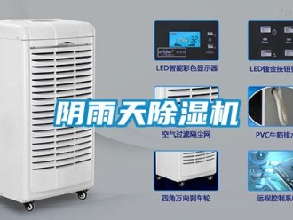 知識百科陰雨天除濕機