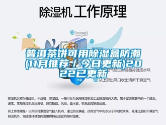 常見問題普洱茶餅可用除濕盒防潮(11月推薦／今日更新)2022已更新