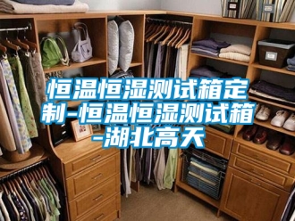 知識(shí)百科恒溫恒濕測試箱定制-恒溫恒濕測試箱-湖北高天