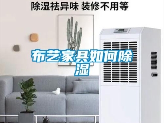 常見(jiàn)問(wèn)題布藝家具如何除濕