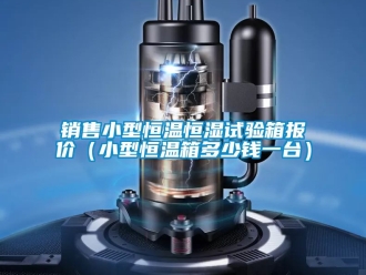 知識(shí)百科銷(xiāo)售小型恒溫恒濕試驗(yàn)箱報(bào)價(jià)（小型恒溫箱多少錢(qián)一臺(tái)）