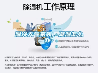 常見問題濕冷天氣來襲，潮濕怎么辦？
