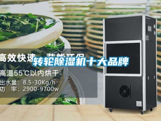 常見問題轉(zhuǎn)輪除濕機(jī)十大品牌