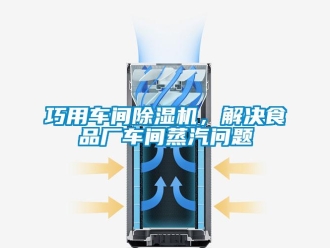 常見(jiàn)問(wèn)題巧用車間除濕機(jī)，解決食品廠車間蒸汽問(wèn)題