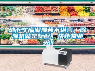 企業(yè)新聞地下車(chē)庫(kù)潮濕苦不堪言，除濕機(jī)就是標(biāo)配，快讓物業(yè)買(mǎi)！