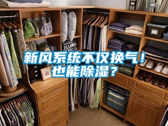 行業(yè)新聞新風(fēng)系統(tǒng)不僅換氣！也能除濕？