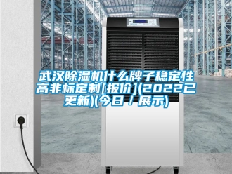 行業(yè)新聞武漢除濕機什么牌子穩(wěn)定性高非標(biāo)定制[報價](2022已更新)(今日／展示)