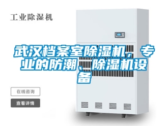 行業(yè)新聞武漢檔案室除濕機(jī)，專業(yè)的防潮、除濕機(jī)設(shè)備