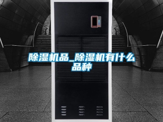 行業(yè)新聞除濕機(jī)品_除濕機(jī)有什么品種