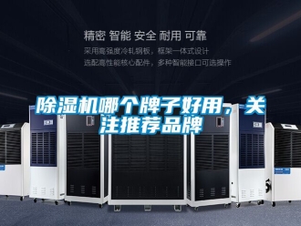 企業(yè)新聞除濕機(jī)哪個(gè)牌子好用，關(guān)注推薦品牌