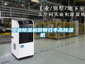 常見問題工業(yè)除濕機邯鄲效率高除濕機