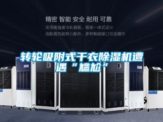 知識百科轉(zhuǎn)輪吸附式干衣除濕機(jī)遭遇“尷尬”