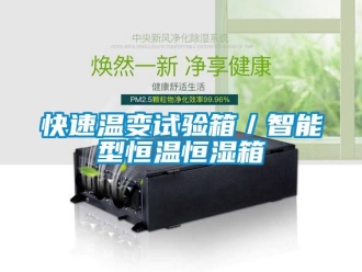 知識(shí)百科快速溫變?cè)囼?yàn)箱／智能型恒溫恒濕箱
