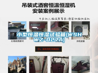 知識百科小型恒溫恒濕試驗箱(WSHWZ-027A)