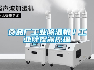 常見問題食品廠工業(yè)除濕機(jī)／工業(yè)除濕器原理