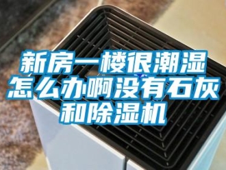 行業(yè)新聞新房一樓很潮濕怎么辦啊沒有石灰和除濕機