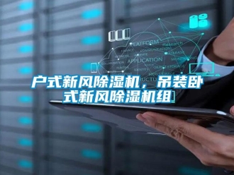 行業(yè)新聞戶式新風(fēng)除濕機，吊裝臥式新風(fēng)除濕機組