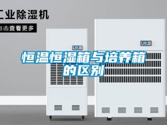 知識百科恒溫恒濕箱與培養(yǎng)箱的區(qū)別