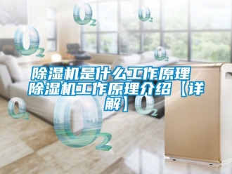 行業(yè)新聞除濕機(jī)是什么工作原理 除濕機(jī)工作原理介紹【詳解】