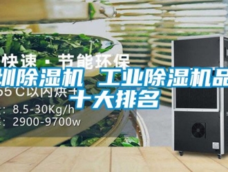 常見問題深圳除濕機(jī) 工業(yè)除濕機(jī)品牌十大排名