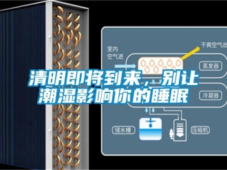 行業(yè)新聞清明即將到來，別讓潮濕影響你的睡眠