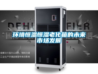 知識百科環(huán)境恒溫恒濕老化箱的未來市場發(fā)展