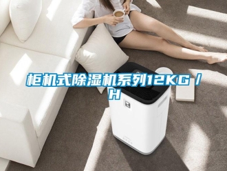 行業(yè)新聞柜機(jī)式除濕機(jī)系列12KG／H