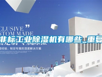 常見(jiàn)問(wèn)題非標(biāo)工業(yè)除濕機(jī)有哪些_重復(fù)