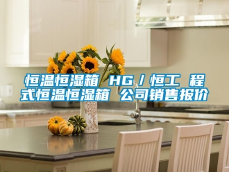 知識百科恒溫恒濕箱 HG／恒工 程式恒溫恒濕箱 公司銷售報價