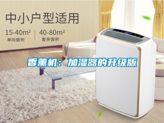 知識百科香薰機(jī)：加濕器的升級版