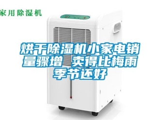 行業(yè)新聞烘干除濕機小家電銷量驟增 賣得比梅雨季節(jié)還好