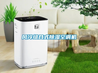 行業(yè)新聞風(fēng)冷組合式除濕空調(diào)機(jī)