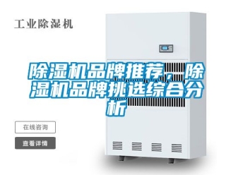 企業(yè)新聞除濕機品牌推薦，除濕機品牌挑選綜合分析