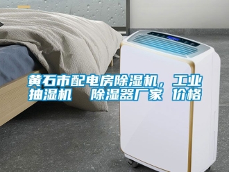 企業(yè)新聞黃石市配電房除濕機(jī)，工業(yè)抽濕機(jī)  除濕器廠家 價格