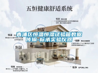 知識百科青浦區(qū)恒溫恒濕試驗箱數(shù)據(jù)傳輸-標承實驗儀器