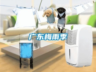 行業(yè)新聞廣東梅雨季