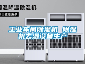 常見問題工業(yè)車間除濕機(jī) 除濕機(jī)去濕設(shè)備生產(chǎn)