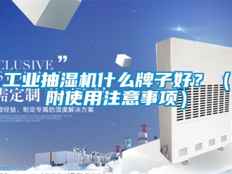 企業(yè)新聞工業(yè)抽濕機什么牌子好？（附使用注意事項）