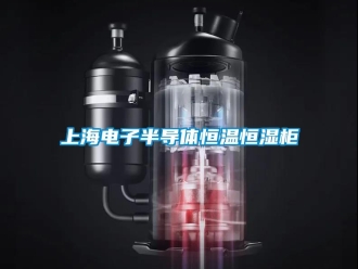 知識百科上海電子半導(dǎo)體恒溫恒濕柜