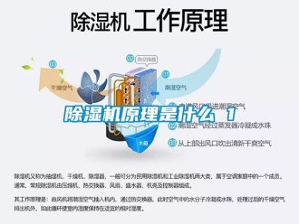 行業(yè)新聞除濕機(jī)原理是什么 1