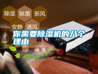 行業(yè)新聞你需要除濕機的八個理由