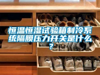 知識百科恒溫恒濕試驗(yàn)箱制冷系統(tǒng)隔膜壓力開關(guān)是什么？