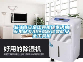 知識(shí)百科浙江省安全工具柜廠家供應(yīng)配電站專用恒溫除濕智能安全工具柜