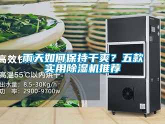 行業(yè)新聞雨天如何保持干爽？五款實(shí)用除濕機(jī)推薦