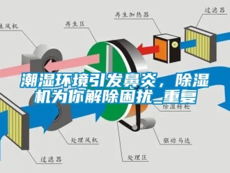 企業(yè)新聞潮濕環(huán)境引發(fā)鼻炎，除濕機為你解除困擾_重復